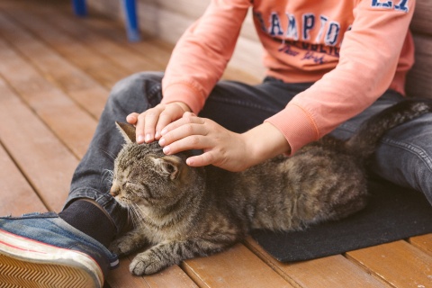 Ein Junge streichelt sanft eine Katze