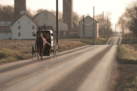 Ein Pferdewagen in einem Amish-Dorf