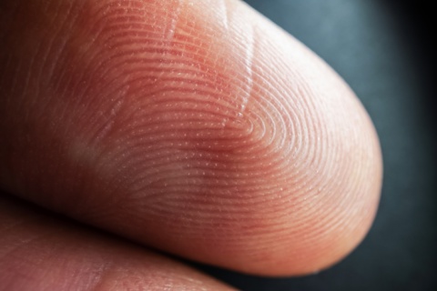 Jeder Fingerabdruck ist einzigartig.